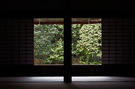 Motonobu no Niwa (dry landscape garden)