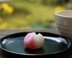 SNS使用