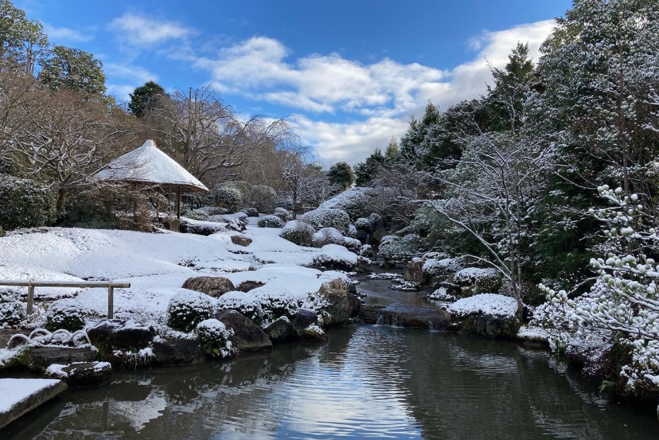 C8FC067F-7DA1-4C97-B875-2BC1134A1ABB